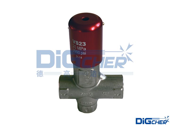 進(jìn)口安全閥